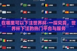在哪里可以下注世界杯-一探究竟，世界杯下注的热门平台与服务