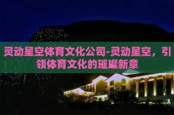 灵动星空体育文化公司-灵动星空，引领体育文化的璀璨新章