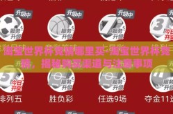 淘宝世界杯竞猜哪里买-淘宝世界杯竞猜，揭秘购买渠道与注意事项