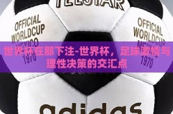 世界杯在那下注-世界杯，足球激情与理性决策的交汇点