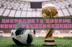 足球世界杯在哪里下注-足球世界杯观赛新体验，安全与理性参与竞猜的路径