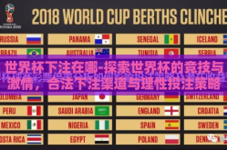 世界杯下注在哪-探索世界杯的竞技与激情，合法下注渠道与理性投注策略