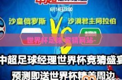 世界杯足球 竞猜网站-