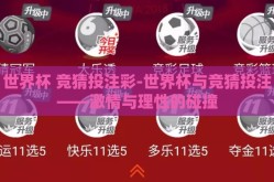 世界杯 竞猜投注彩-世界杯与竞猜投注——激情与理性的碰撞