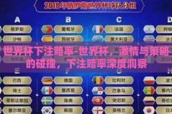 世界杯下注赔率-世界杯，激情与策略的碰撞，下注赔率深度洞察