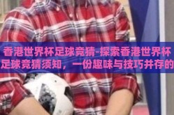 香港世界杯足球竞猜-探索香港世界杯足球竞猜须知，一份趣味与技巧并存的指南