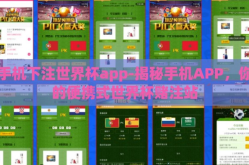手机下注世界杯app-揭秘手机APP，你的便携式世界杯赌注站
