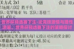 世界杯预选赛下注-论竞技激情与理性决策，世界杯预选赛下注的策略探讨