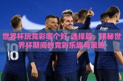 世界杯玩竞彩哪个好-选择篇，揭秘世界杯期间的竞彩乐趣与策略