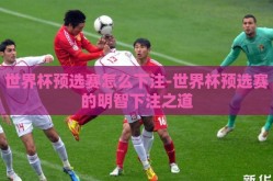 世界杯预选赛怎么下注-世界杯预选赛的明智下注之道