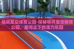 骆岗星空体育公园-探秘骆岗星空体育公园，星河之下的活力乐园