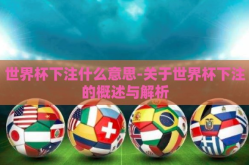 世界杯下注什么意思-关于世界杯下注的概述与解析