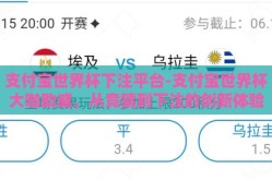 支付宝世界杯下注平台-支付宝世界杯大咖助威，从竞猜到下注的创新体验