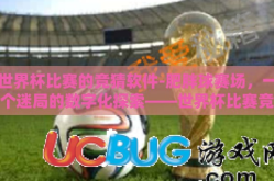 世界杯比赛的竞猜软件-肥胖球赛场，一个迷局的数字化探索——世界杯比赛竞猜软件
