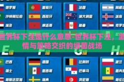 世界杯下注是什么意思-世界杯下注，激情与策略交织的绿茵战场
