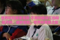 世界杯在哪里竞猜-不用刻板词汇的标题示例，逐梦启航，世界杯竞猜之旅