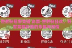 世界杯冠军竞猜 彩票-世界杯狂欢，冠军竞猜彩票的乐趣与激情