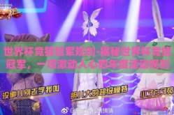 世界杯竞猜冠军规则-揭秘世界杯竞猜冠军，一项激动人心的年度活动规则