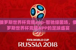 俄罗斯世界杯竞猜app-智驰绿茵场，俄罗斯世界杯竞猜APP的足球盛宴