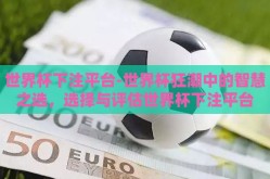 世界杯下注平台-世界杯狂潮中的智慧之选，选择与评估世界杯下注平台