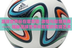 足球世界杯在哪竞猜-激情与智慧共舞 —— 揭秘足球世界杯冠军的竞猜艺术