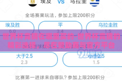 世界杯竞猜在哪里买的-世界杯竞猜的精彩选择，尽在赞助商与官方平台