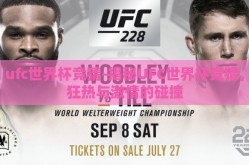 ufc世界杯竞猜-揭秘UFC世界杯竞猜，狂热与激情的碰撞