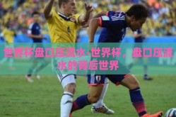 世界杯盘口压流水-世界杯，盘口压流水的背后世界