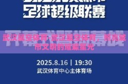 武汉星空体育-武汉星空体育，照亮城市文明的璀璨星光