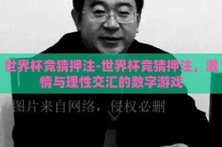 世界杯竞猜押注-世界杯竞猜押注，激情与理性交汇的数字游戏