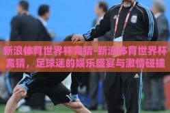 新浪体育世界杯竞猜-新浪体育世界杯竞猜，足球迷的娱乐盛宴与激情碰撞