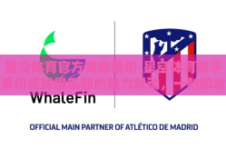 星空体育官方赞助莱切-星空体育携手莱切足球俱乐部的魅力联动，一触即发的体育盛宴
