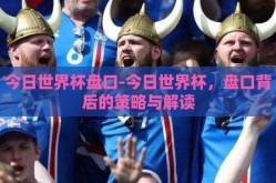今日世界杯盘口-今日世界杯，盘口背后的策略与解读