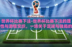 世界杯比赛下注-世界杯比赛下注的理性与激情交织，一场关于足球与赌局的盛宴