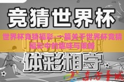 世界杯竞猜福彩-一篇关于世界杯竞猜福彩中的趣味与策略