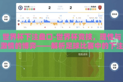 世界杯下注盘口-世界杯竞技，理性与激情的博弈——解析足球比赛中的下注盘口