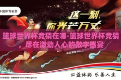 篮球世界杯竞猜在哪-篮球世界杯竞猜，尽在激动人心的数字盛宴