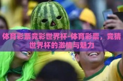 体育彩票竞彩世界杯-体育彩票，竞猜世界杯的激情与魅力