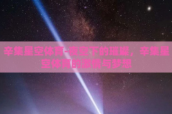 辛集星空体育-夜空下的璀璨，辛集星空体育的激情与梦想
