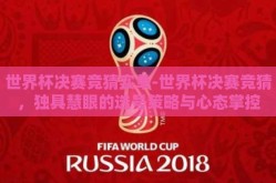 世界杯决赛竞猜实单-世界杯决赛竞猜，独具慧眼的选号策略与心态掌控