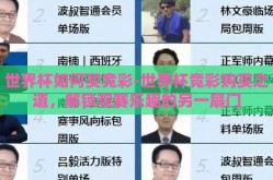 世界杯如何买竞彩-世界杯竞彩购买之道，解锁观赛乐趣的另一扇门