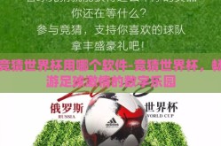 竞猜世界杯用哪个软件-竞猜世界杯，畅游足球激情的数字乐园
