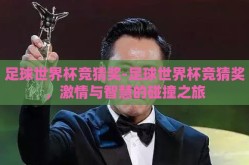 足球世界杯竞猜奖-足球世界杯竞猜奖，激情与智慧的碰撞之旅