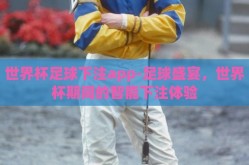 世界杯足球下注app-足球盛宴，世界杯期间的智能下注体验
