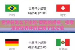 世界杯怎么下注的-冒险的诱惑，探索足球世界杯的正确下注之道