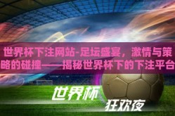 世界杯下注网站-足坛盛宴，激情与策略的碰撞——揭秘世界杯下的下注平台选择解析