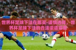 世界杯足球下注在哪买-谨慎选择，世界杯足球下注的合法渠道探索