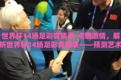 世界杯14场足彩竞猜表-点燃激情，解析世界杯14场足彩竞猜表——预测艺术与运气并存的魅力