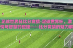 足球世界杯比分竞猜-足球世界杯，激情与智慧的碰撞——比分竞猜的魅力解析