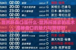 世界杯盘口是什么-世界杯博弈的艺术，揭秘盘口的魅力与潜规则
